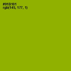 #91B101 - Citron Color Image
