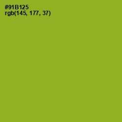 #91B125 - Sushi Color Image