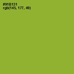 #91B131 - Sushi Color Image