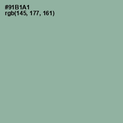 #91B1A1 - Summer Green Color Image