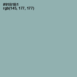 #91B1B1 - Summer Green Color Image