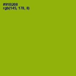 #91B208 - Citron Color Image