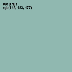 #91B7B1 - Summer Green Color Image