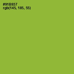 #91B937 - Sushi Color Image