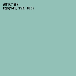 #91C1B7 - Shadow Green Color Image