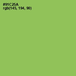 #91C25A - Celery Color Image