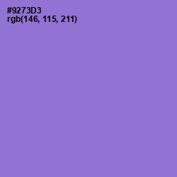 #9273D3 - Lilac Bush Color Image