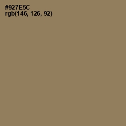 #927E5C - Leather Color Image