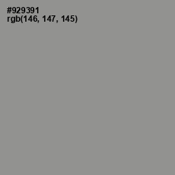 #929391 - Mountain Mist Color Image