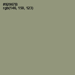 #92967B - Gurkha Color Image