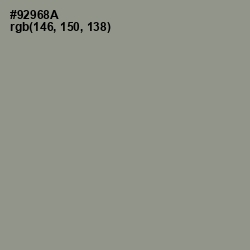 #92968A - Lemon Grass Color Image