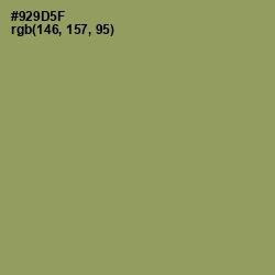 #929D5F - Avocado Color Image