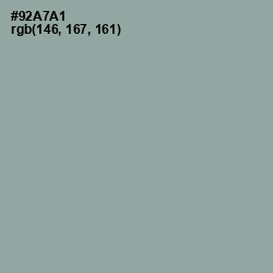 #92A7A1 - Pewter Color Image