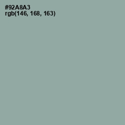 #92A8A3 - Pewter Color Image