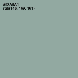 #92A9A1 - Pewter Color Image