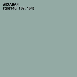 #92A9A4 - Pewter Color Image