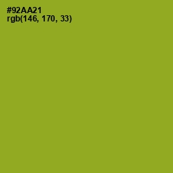 #92AA21 - Sushi Color Image