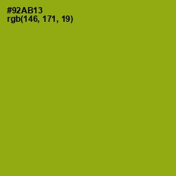 #92AB13 - Citron Color Image