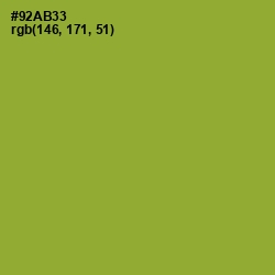 #92AB33 - Sushi Color Image