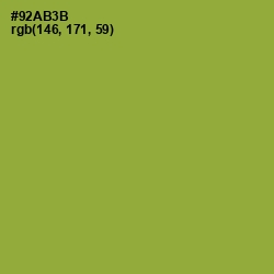 #92AB3B - Sushi Color Image