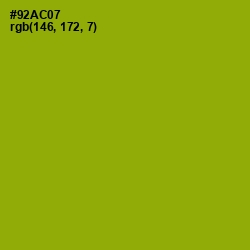 #92AC07 - Citron Color Image