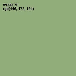 #92AC7C - Olivine Color Image
