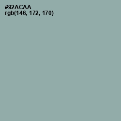 #92ACAA - Pewter Color Image