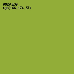 #92AE39 - Sushi Color Image
