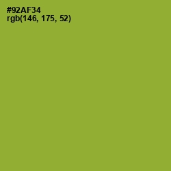 #92AF34 - Sushi Color Image