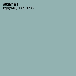 #92B1B1 - Summer Green Color Image