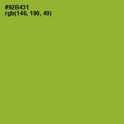 #92B431 - Sushi Color Image