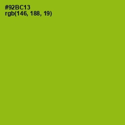 #92BC13 - Citron Color Image