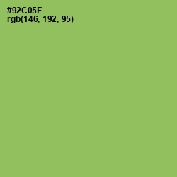 #92C05F - Celery Color Image