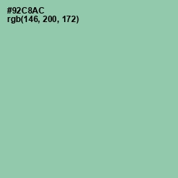 #92C8AC - Shadow Green Color Image