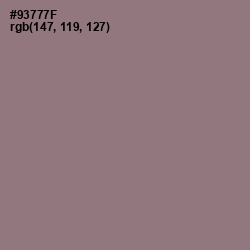 #93777F - Bazaar Color Image