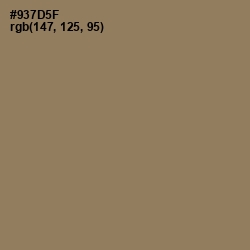 #937D5F - Leather Color Image