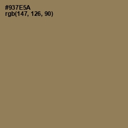 #937E5A - Leather Color Image