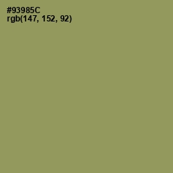 #93985C - Avocado Color Image