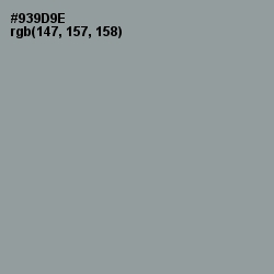 #939D9E - Star Dust Color Image