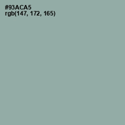 #93ACA5 - Pewter Color Image