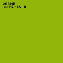 #93B60B - Citron Color Image