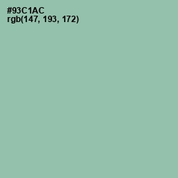 #93C1AC - Shadow Green Color Image