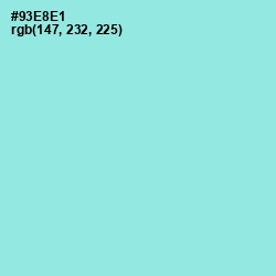 #93E8E1 - Anakiwa Color Image