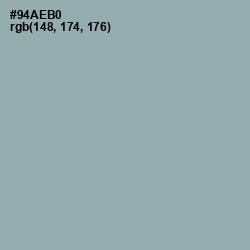 #94AEB0 - Gull Gray Color Image