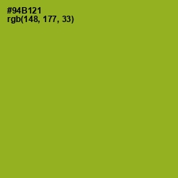 #94B121 - Sushi Color Image