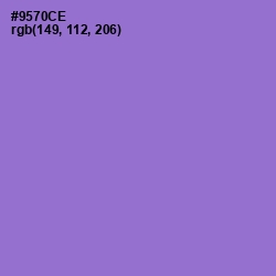 #9570CE - Lilac Bush Color Image