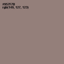 #957F7B - Bazaar Color Image