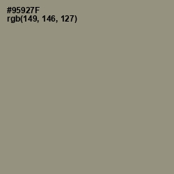 #95927F - Gurkha Color Image