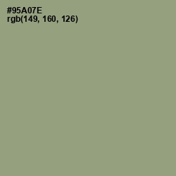 #95A07E - Olivine Color Image