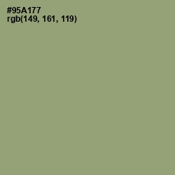 #95A177 - Olivine Color Image